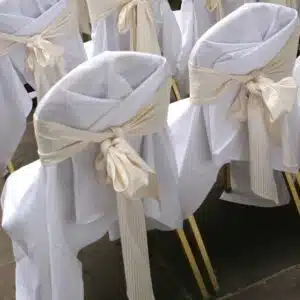 Book Chairs for Party