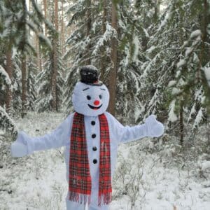 snowman for hire